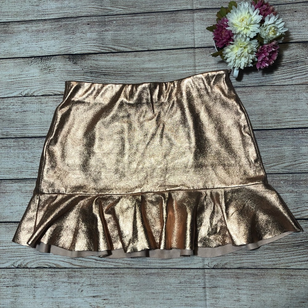 Zara trafaluc collection skirt!